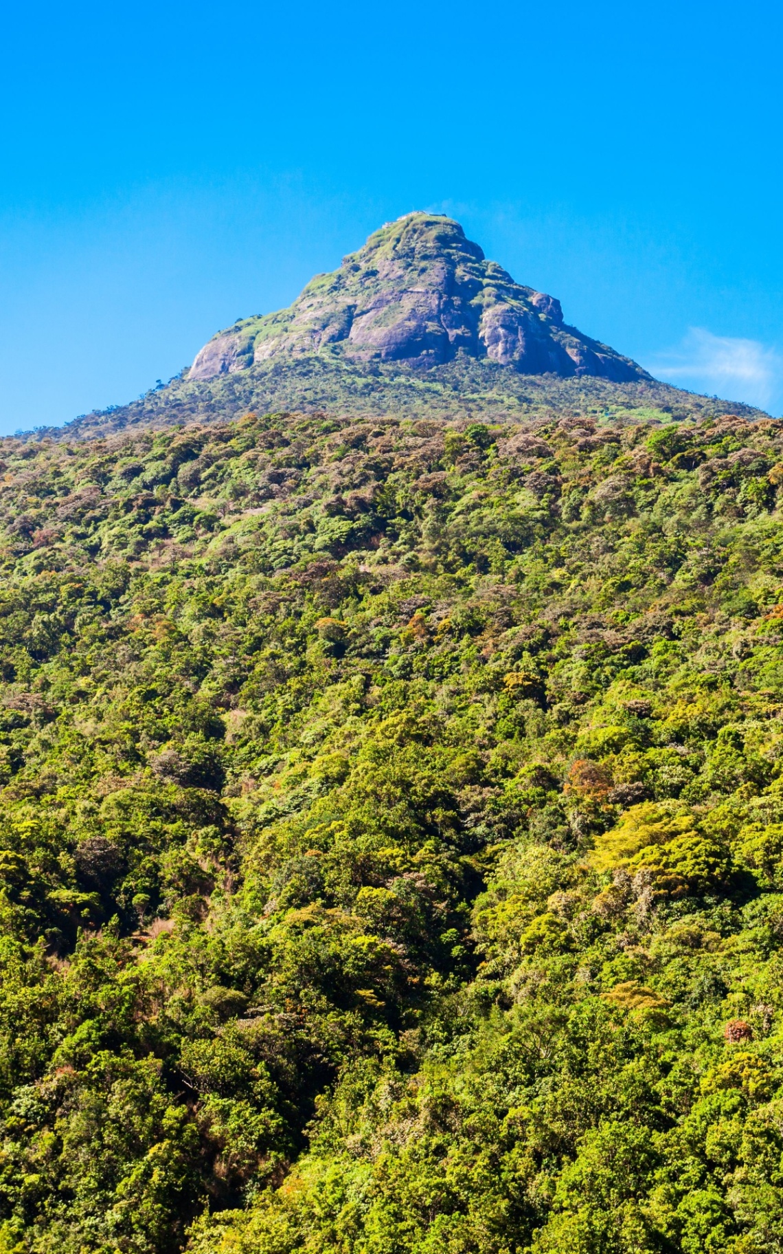Adam's Peak, Sri Lanka