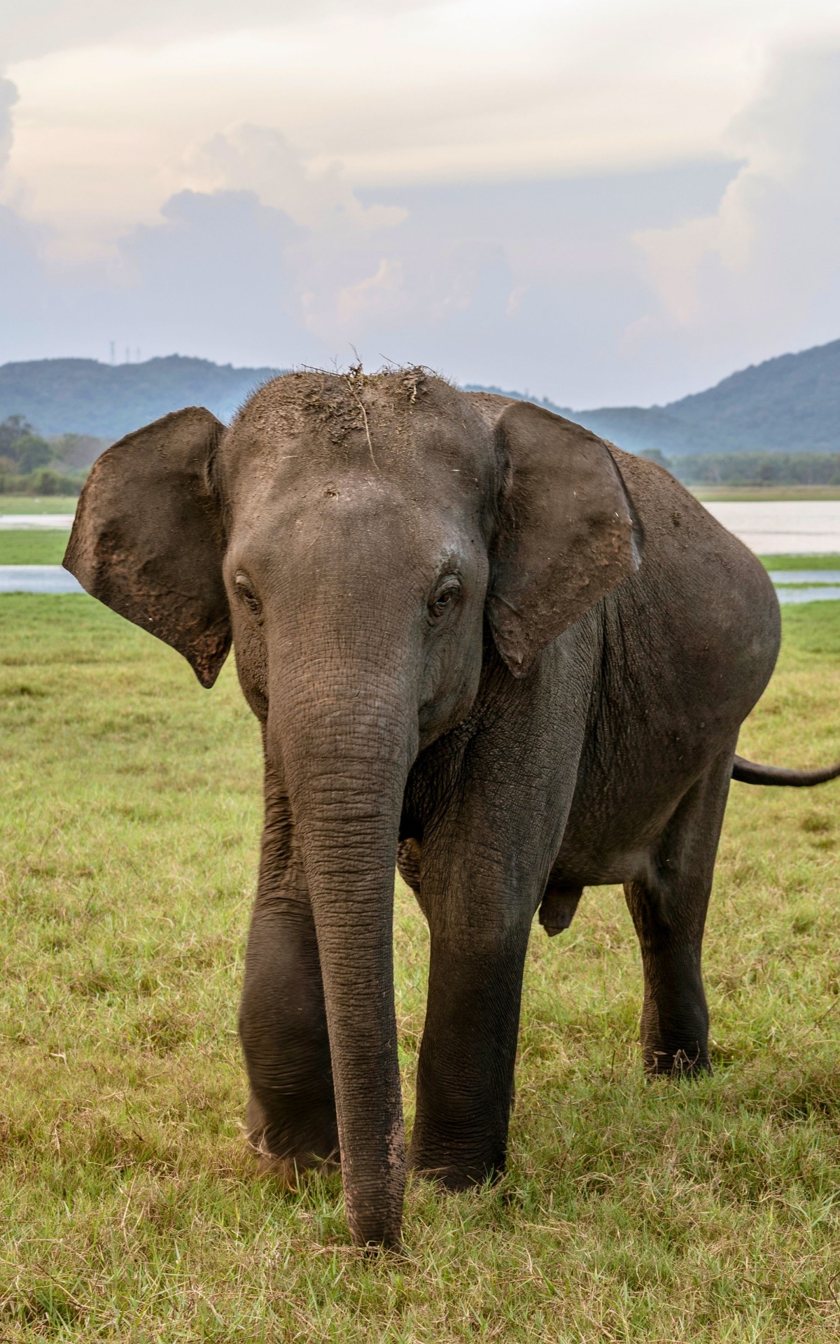 Habarana, Sri Lanka