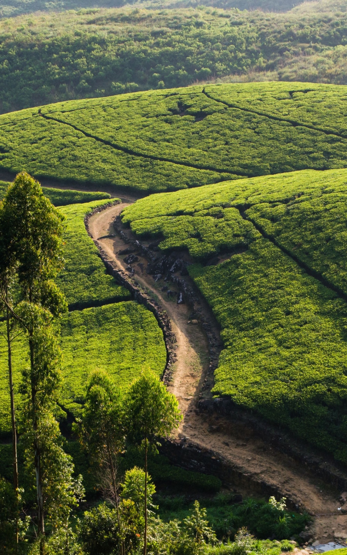 Hatton, Sri Lanka