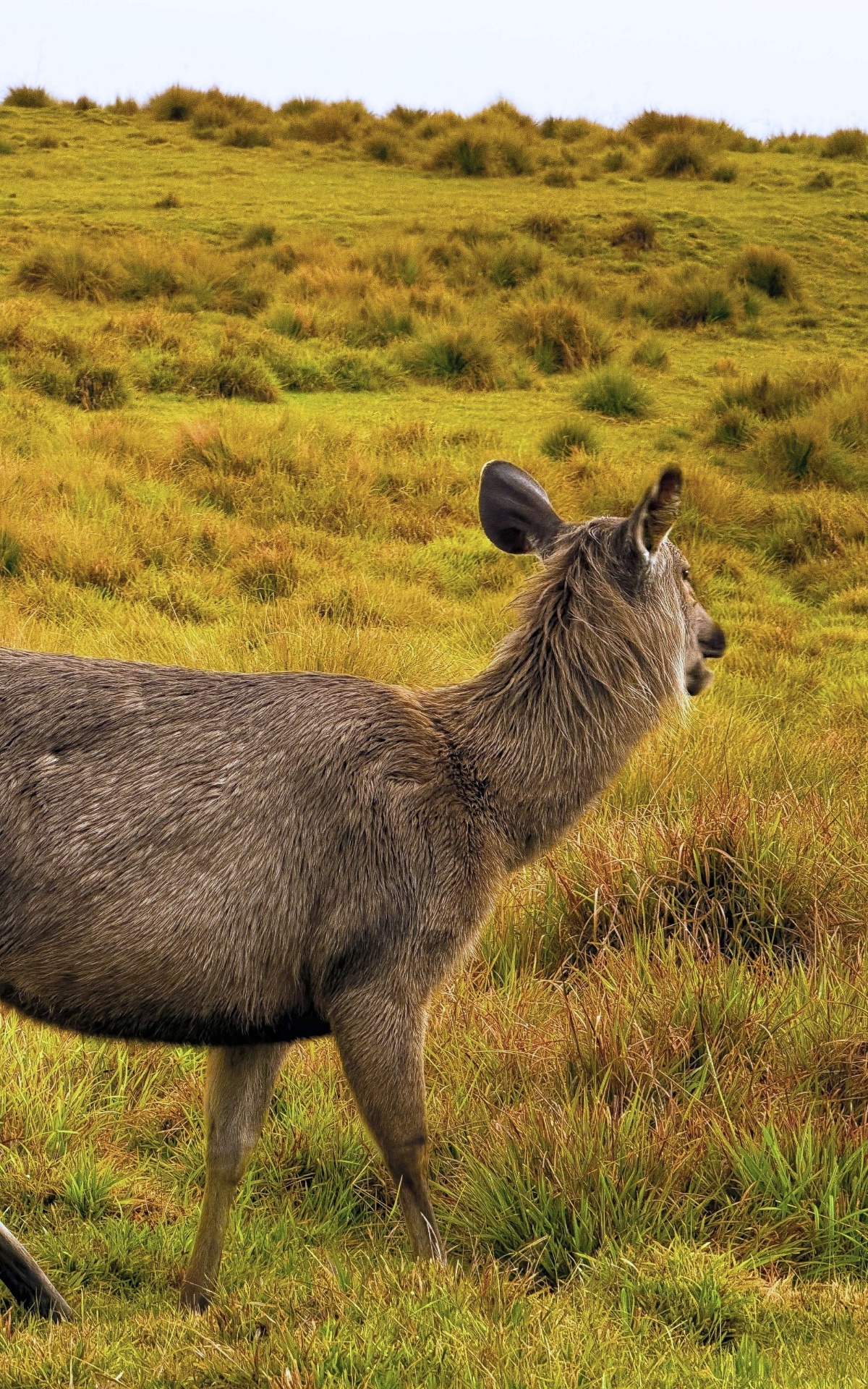 Horton Plains, Sri Lanka