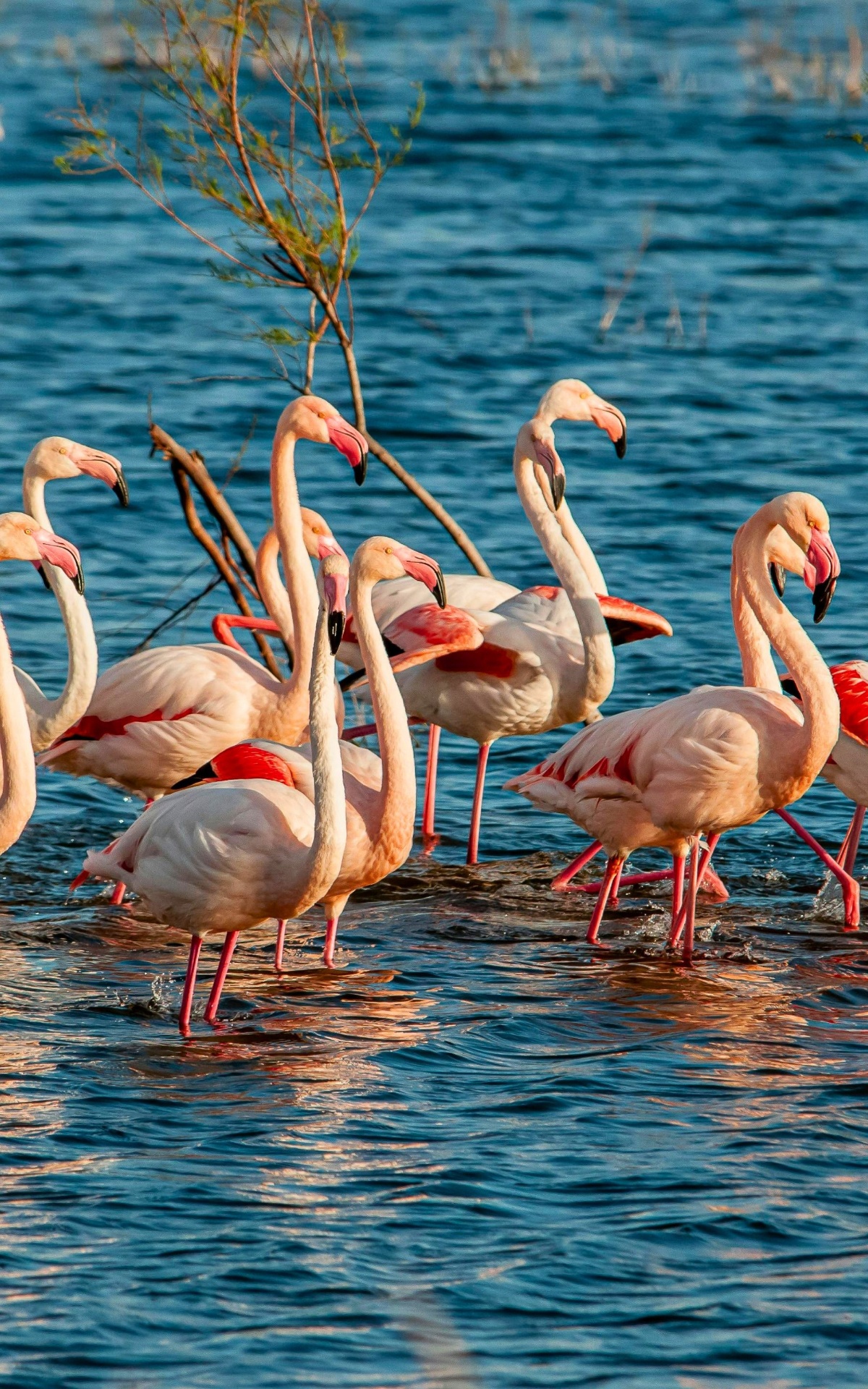 Kumana, Sri Lanka