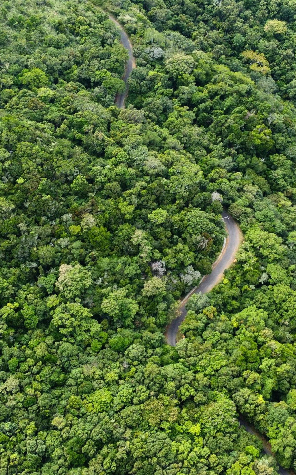 Riverston, Sri Lanka
