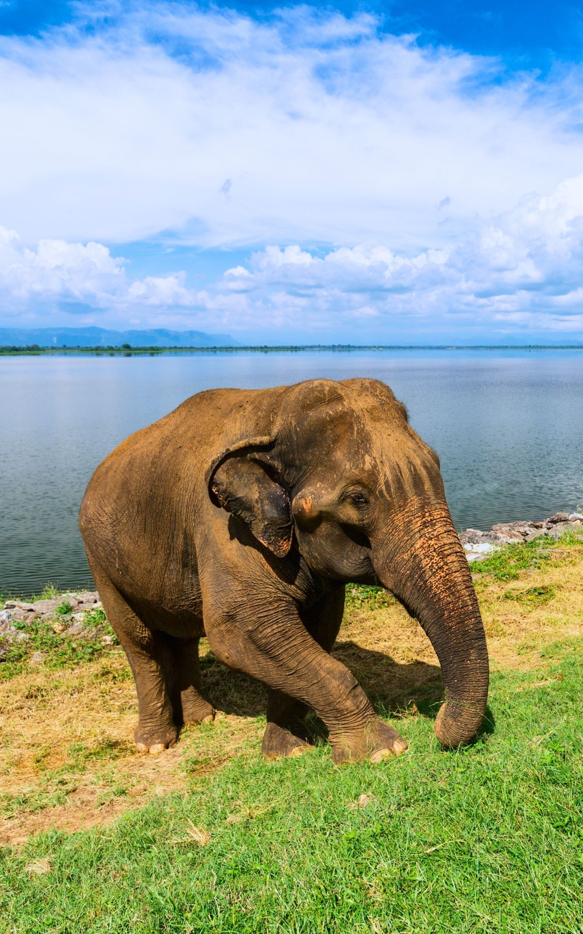 Udawalawe, Sri Lanka