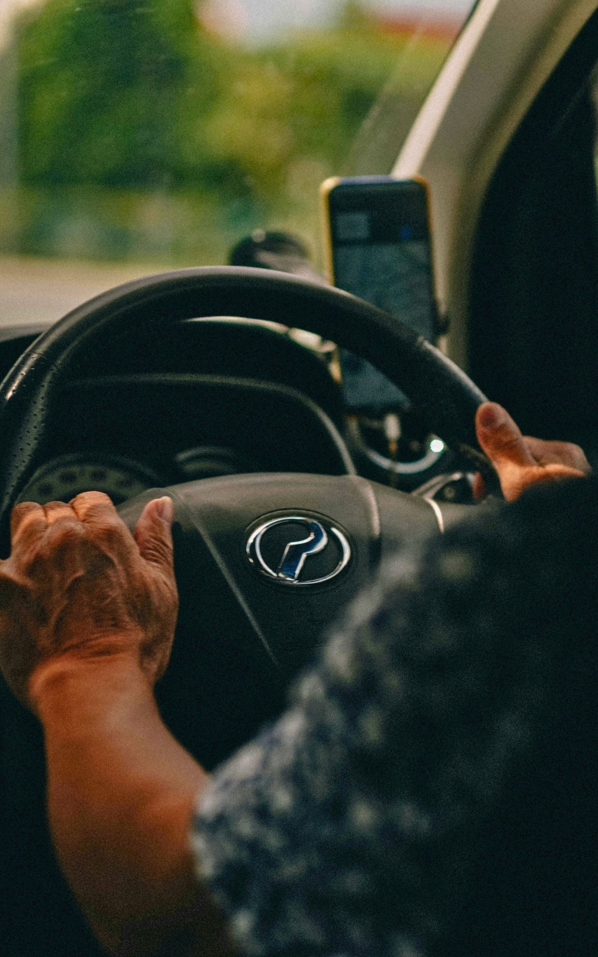 Private Chauffeur Tours