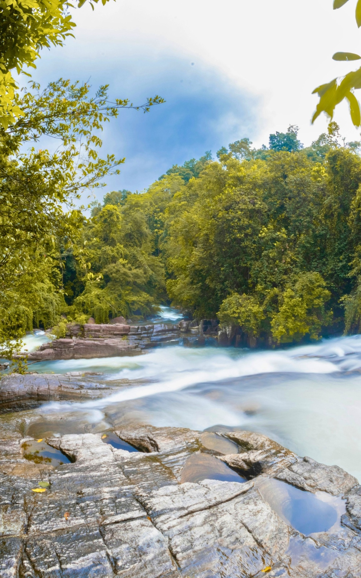 River Safaris