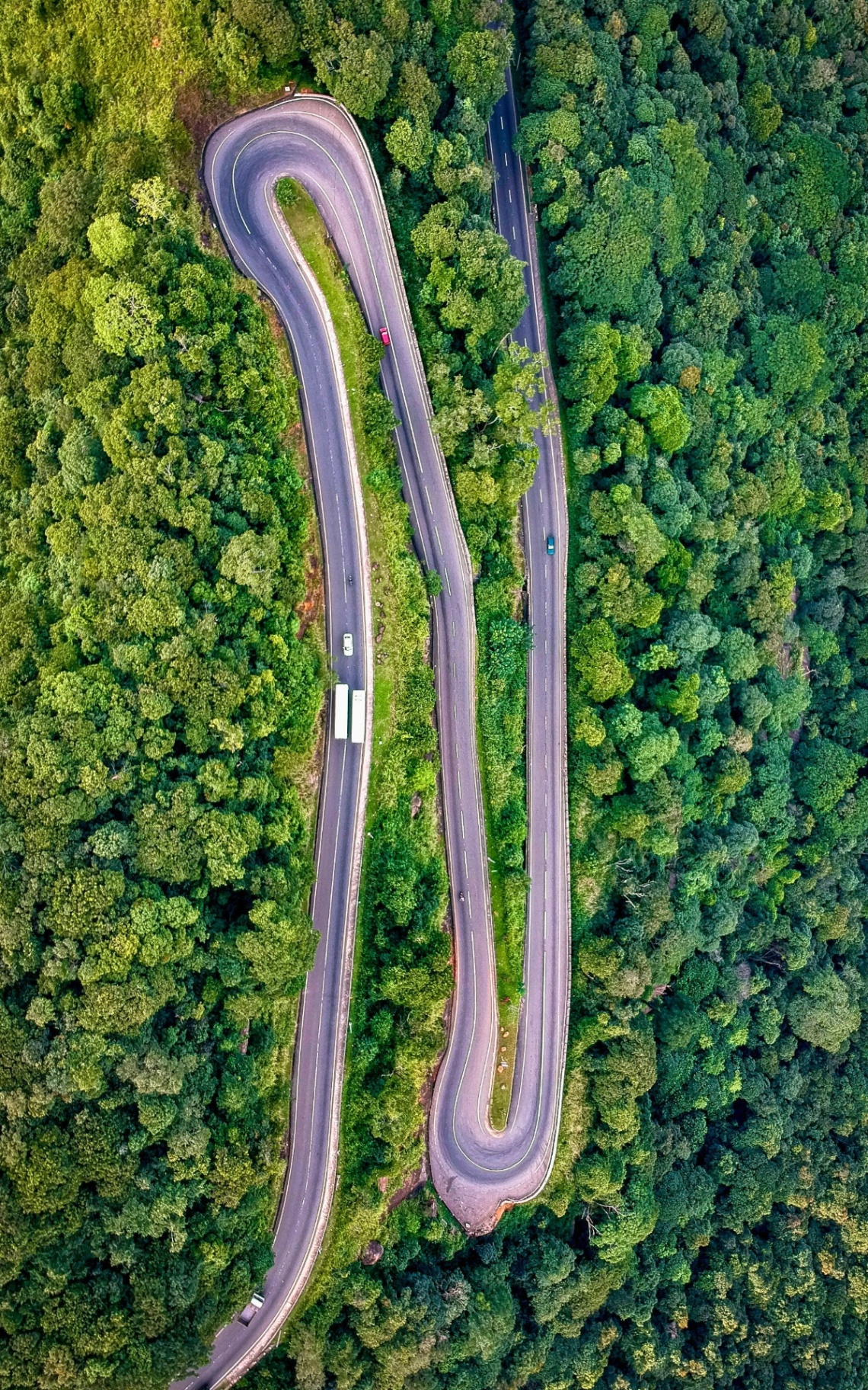 Scenic Road Trips