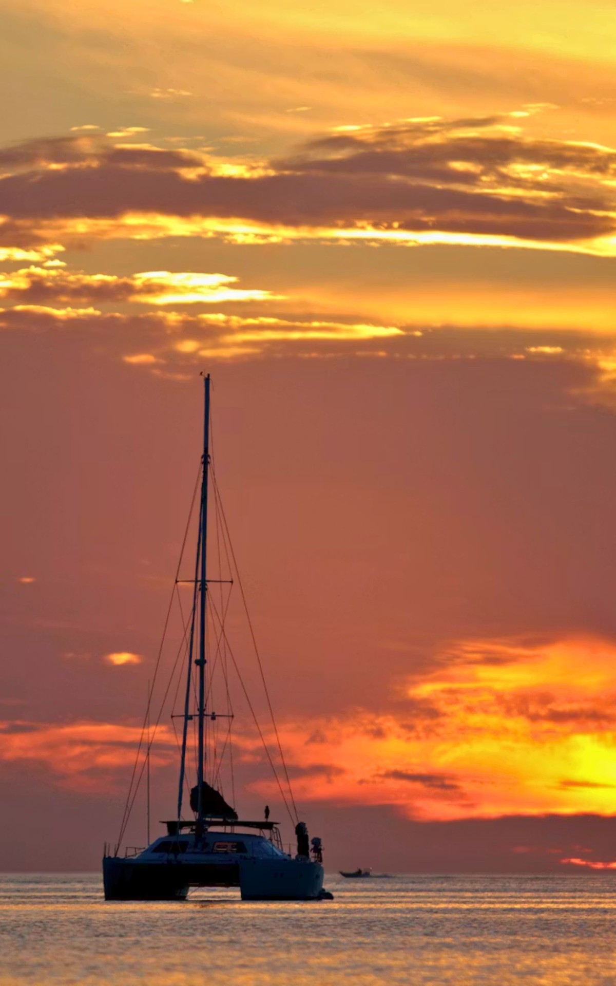 Catamaran Sailing